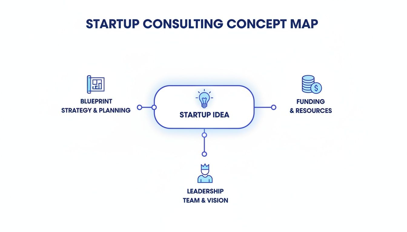 A startup consulting concept map illustrating key connections between a startup idea, strategy, funding, and leadership.